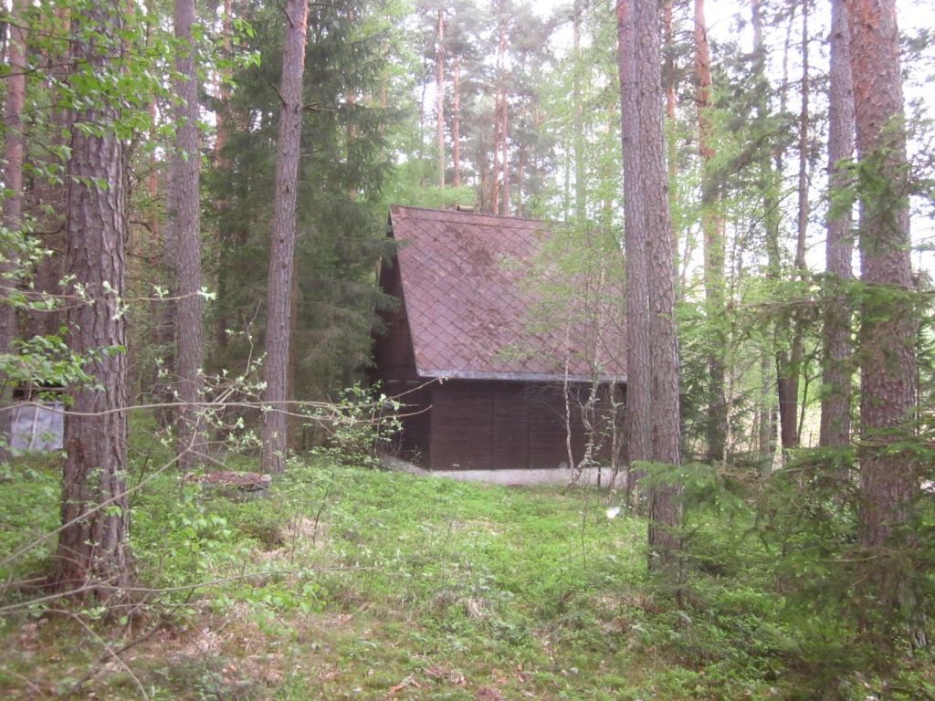 Obrázek dražby
