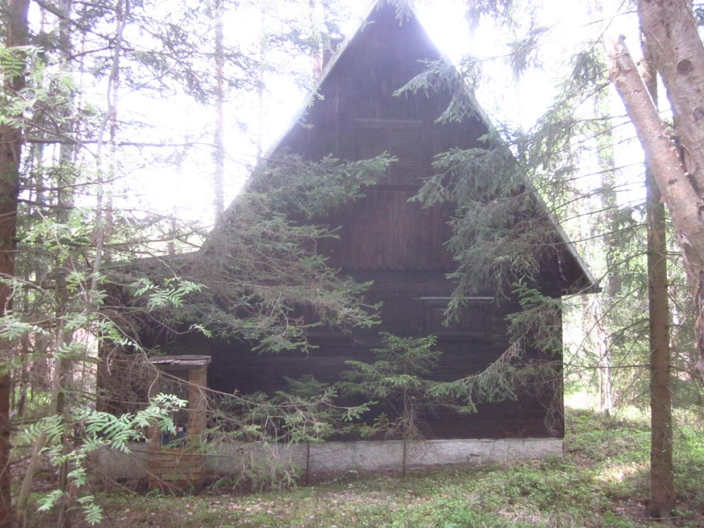 Obrázek dražby