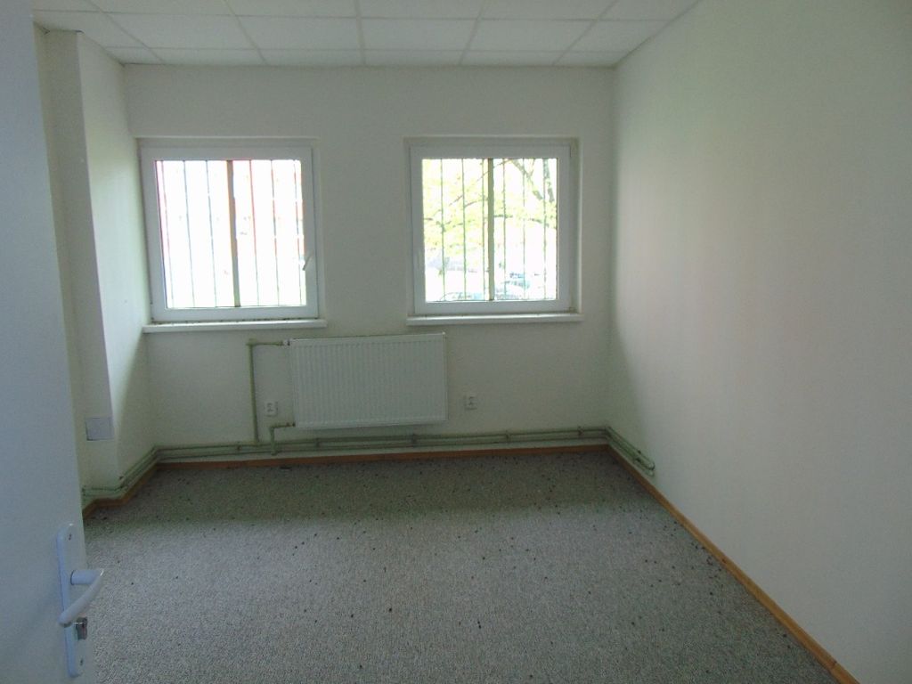Obrázek dražby