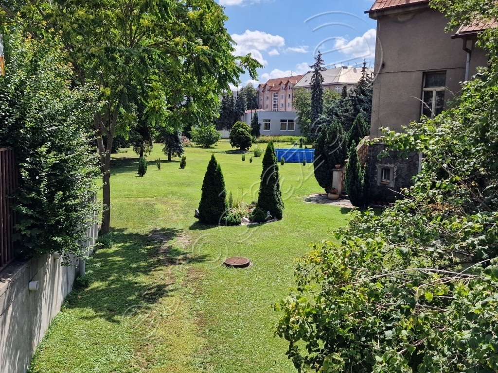 Obrázek dražby