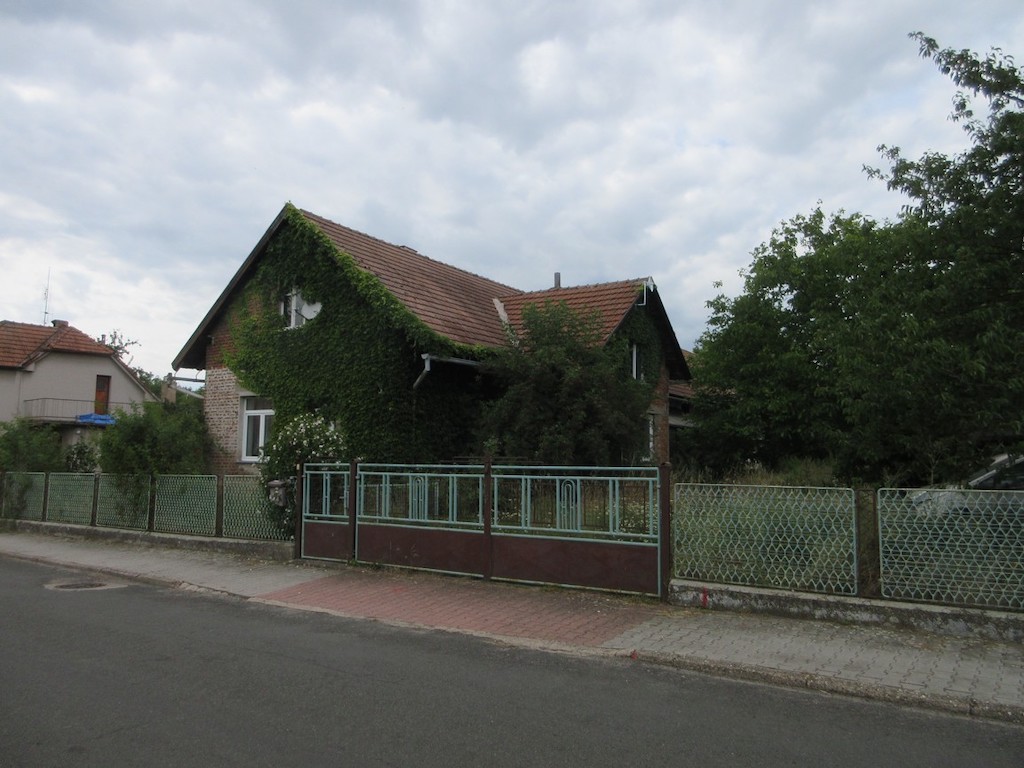 Obrázek dražby