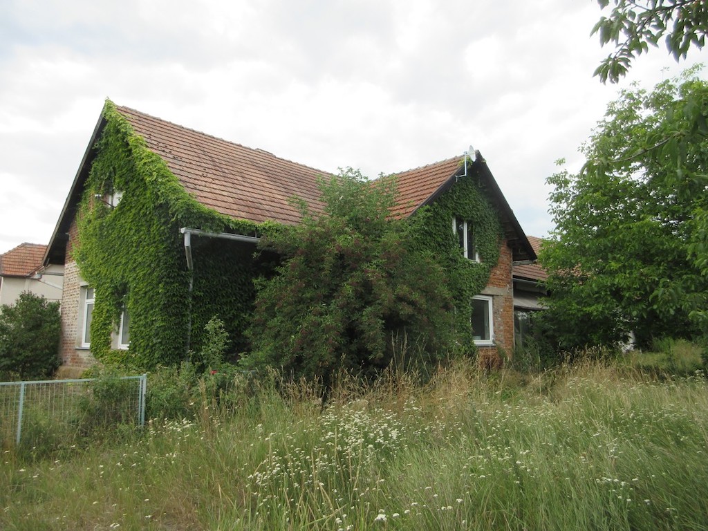 Obrázek dražby