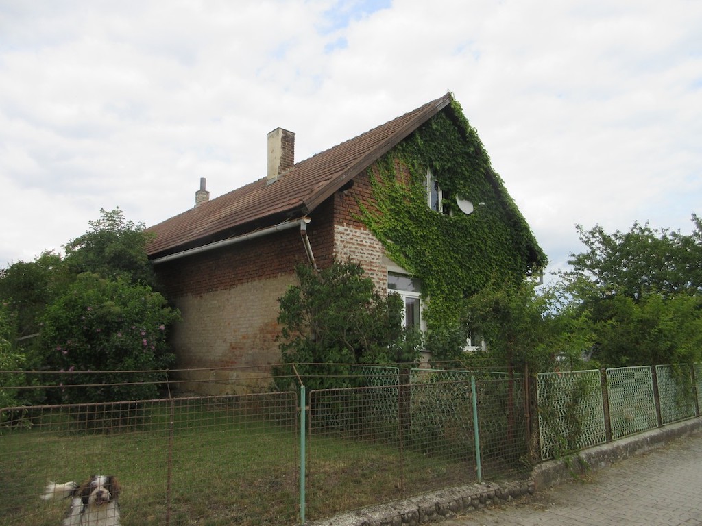 Obrázek dražby