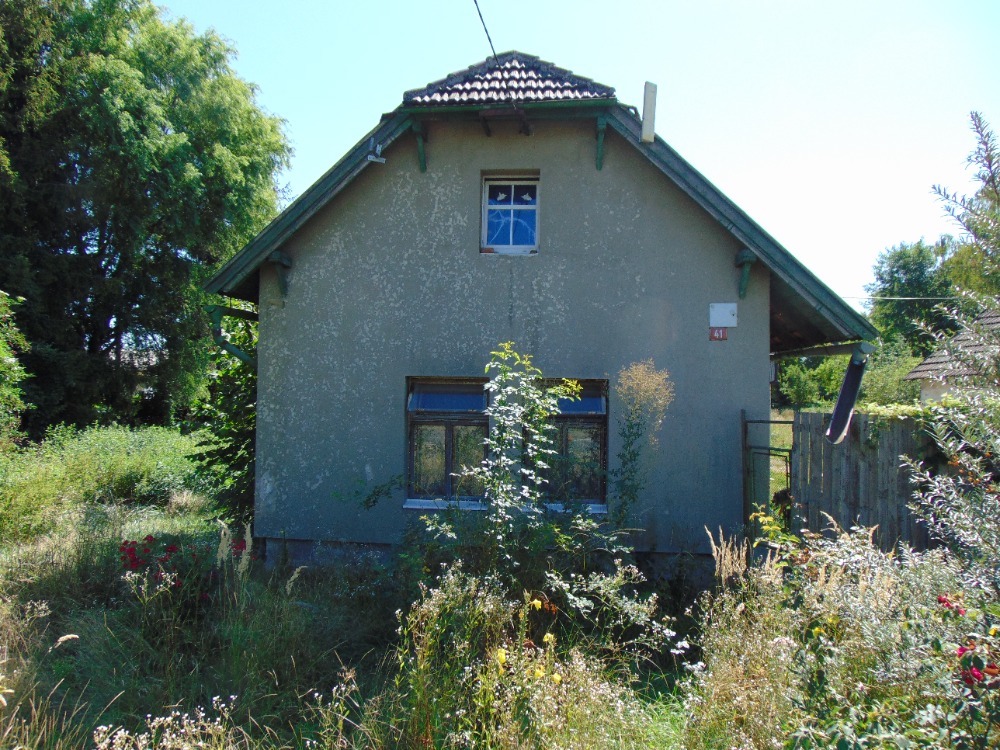 Obrázek dražby