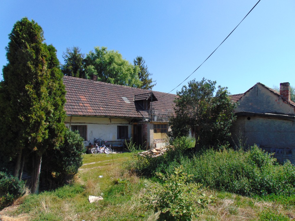 Obrázek dražby