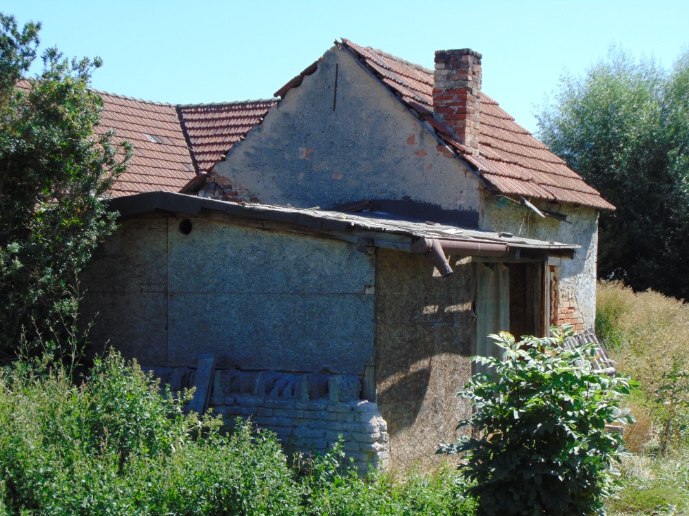 Obrázek dražby